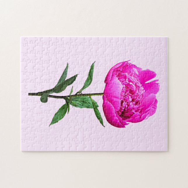 Dark Pink Peony (Horizontal)