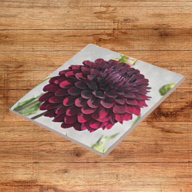 Dark Red Dahlia Bloom Floral Keramik Tile Fliese (In Situ)
