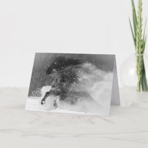 Dark Snow Horse - Pferde-Grußkarte Karte