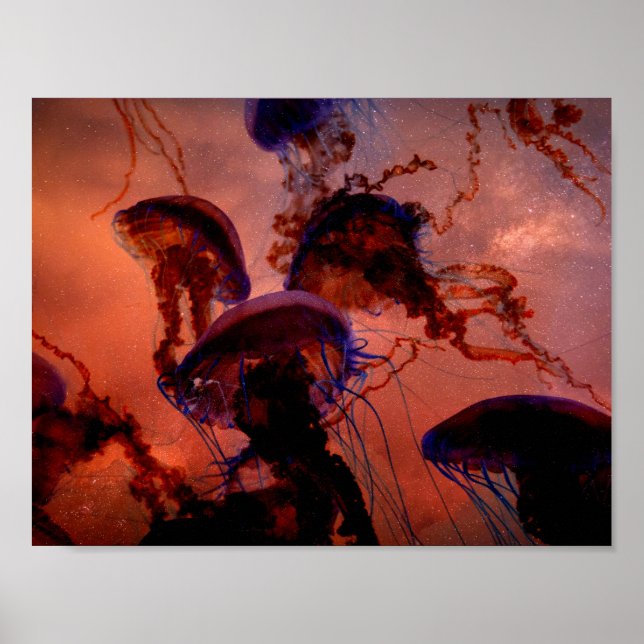 Dark Space Jellyfish Poster Nature (Vorne)