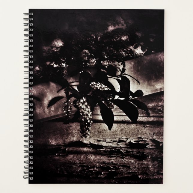 Dark Spring Planer (Vorderseite)