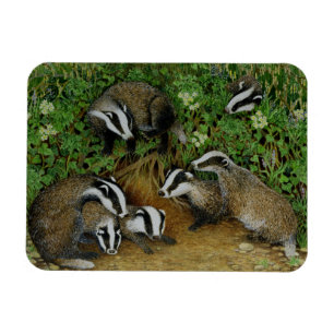 Darlegung Magnet