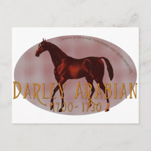 Darley Arabian Postkarte
