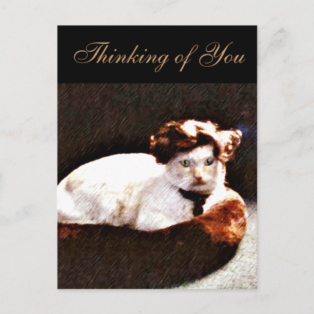 Darling, Cat_ Postkarte (Vorderseite)