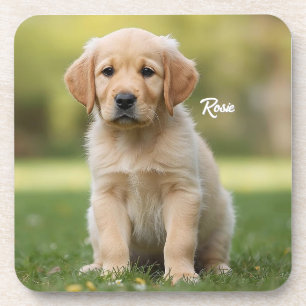 Darling Golden Retriever Personalisiert Untersetze Getränkeuntersetzer