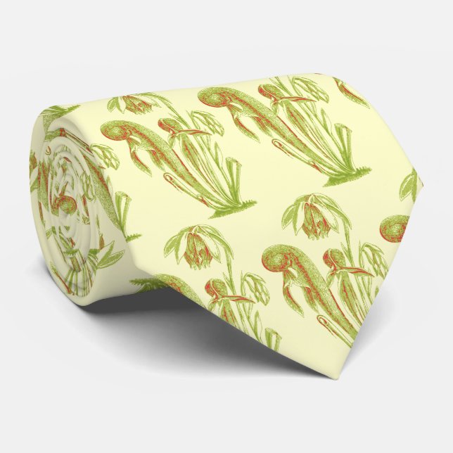 Darlingtonia californica, Fleisch fressende Krawatte (Gerollt)