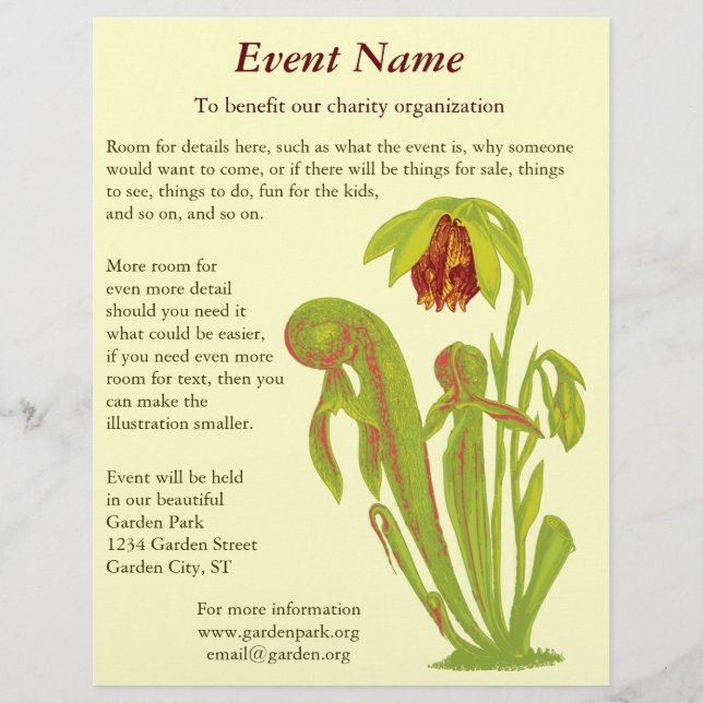 Darlingtonia californica, karnivorische Pflanze Flyer (Vorne)