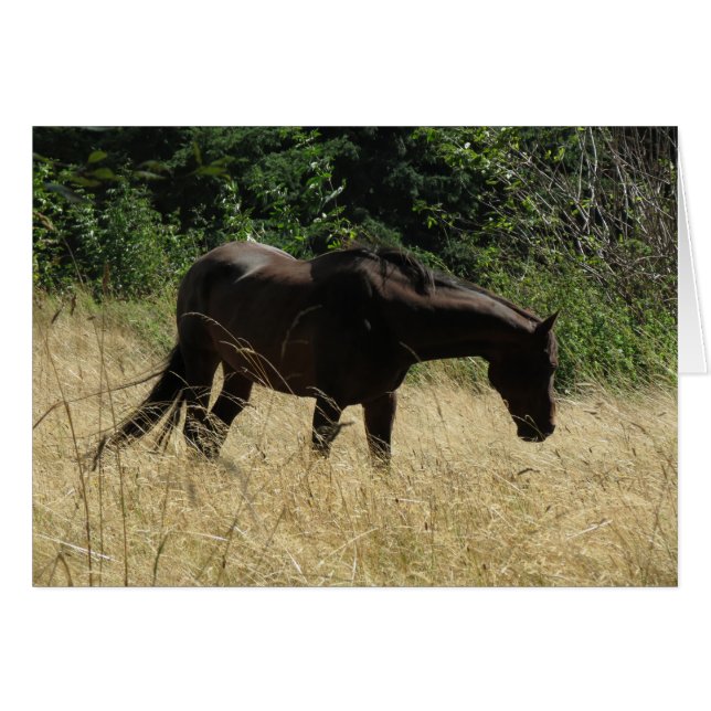 Darma Meditation (Vorderseite (Horizontal))