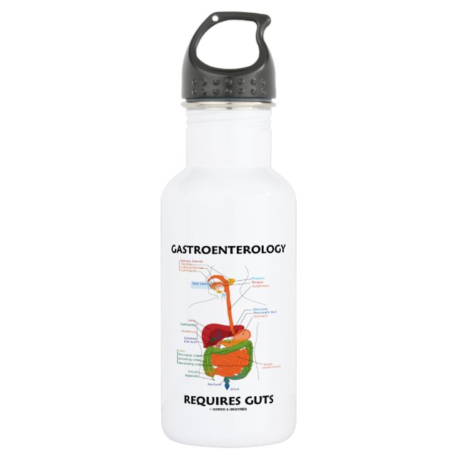 Darmleiden erfordert Eingeweide (Verdauungssystem) Trinkflasche (Vorderseite)