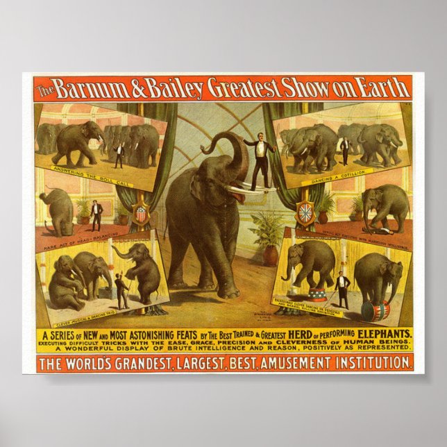 Darstellende Elefanten Barnum & Bailey Circus Post Poster (Vorne)