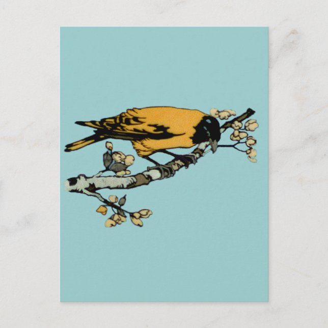 Darstellung der gelben Vintagen Vogeldarstellung Postkarte (Vorderseite)