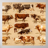 Darstellung der Vintagen Kühe Kalf Bull Milchkühe