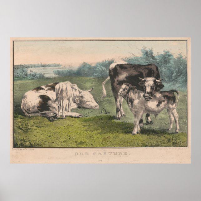 Darstellung der Vintagen Rinderhaltung (1856) Poster (Vorne)