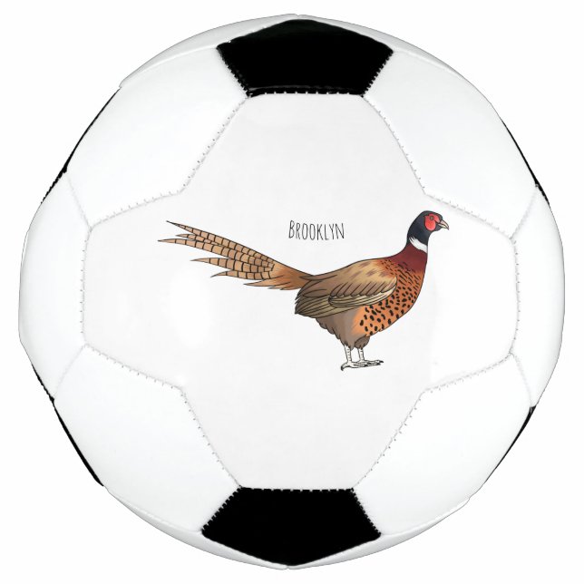 Darstellung des Cartoon mit Ringhals Fußball (Vorderseite)
