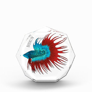 Darstellung des Cartoon von Bettfischen Fotoblock