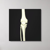 Darstellung des Knie-Knochens, gerade