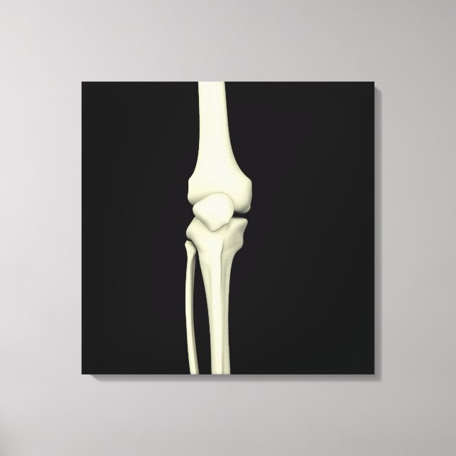 Darstellung des Knie-Knochens, gerade Leinwanddruck (Vorderseite)