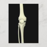 Darstellung des Knie-Knochens, gerade