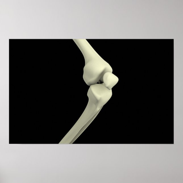 Darstellung des Knie-Knochens Poster (Vorne)
