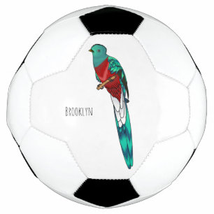 Darstellung des Quetzal-Cartoon Fußball