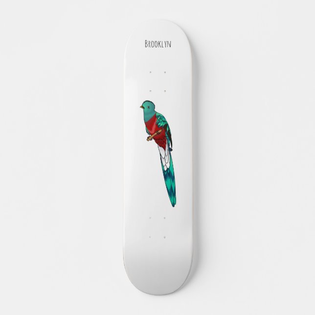 Darstellung des Quetzal-Cartoon Skateboard (Vorne)
