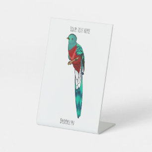 Darstellung des Quetzal-Cartoon Sockelschild