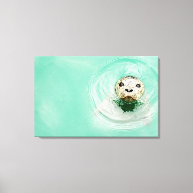 Darstellung eines Siegels im Wasser Leinwanddruck (Vorderseite)