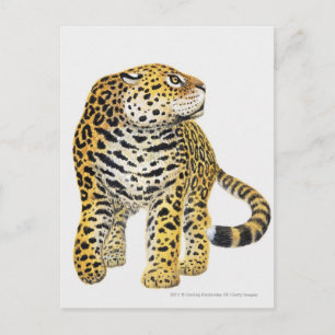 Darstellung von Jaguar mit Kopf in Profil Postkarte