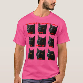 Darstellung von Katzen-Gesichtsausdrücken erklärt  T-Shirt