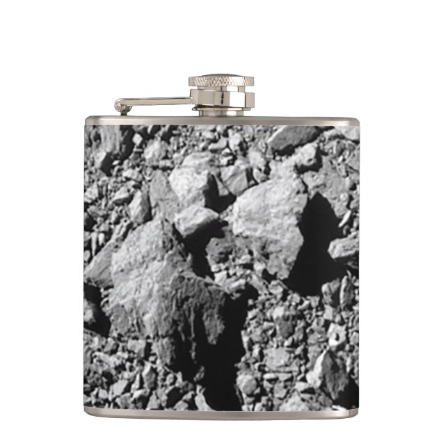 DART Dimorphos Asteroid Moonlet Surface Flachmann (Vorderseite)