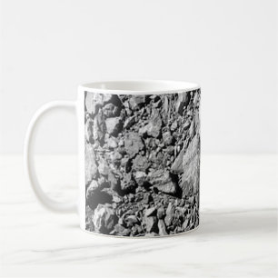 DART Dimorphos Asteroid Moonlet Surface Kaffeetasse