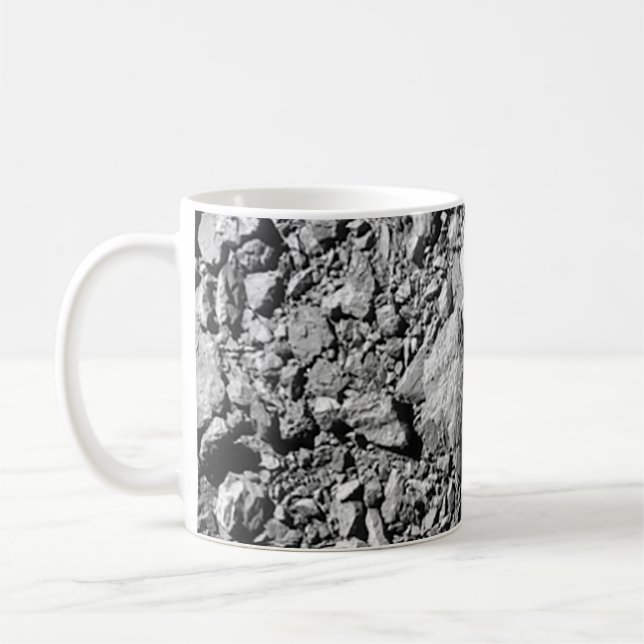 DART Dimorphos Asteroid Moonlet Surface Kaffeetasse (Links)