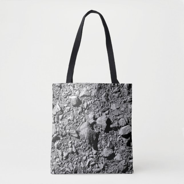 DART Dimorphos Asteroid Moonlet Surface Tasche (Vorderseite)