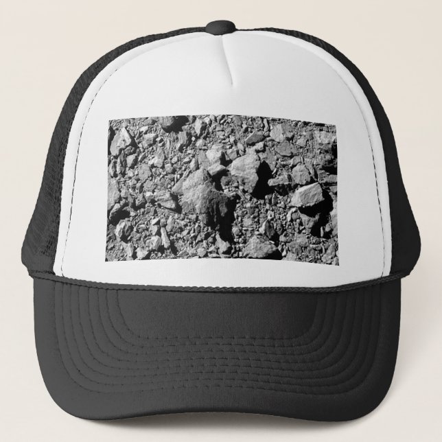 DART Dimorphos Asteroid Moonlet Surface Truckerkappe (Vorderseite)