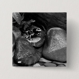 Dart Frosch Freunde B+W Button