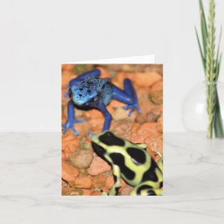 Dart Frosch Note Card Karte