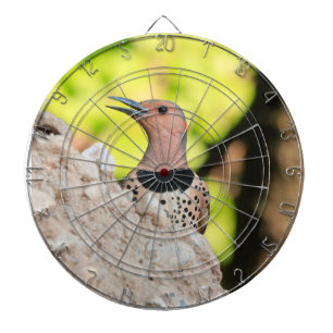 Dartboard mit Bild eines Nordflickers Dartscheibe