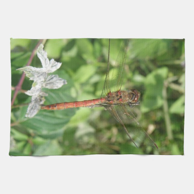Darter Dragonfly Küchentuch (Horizontal)