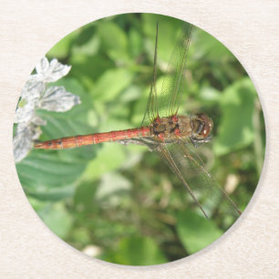 Darter Dragonfly Paper-Untersetzer Runder Pappuntersetzer