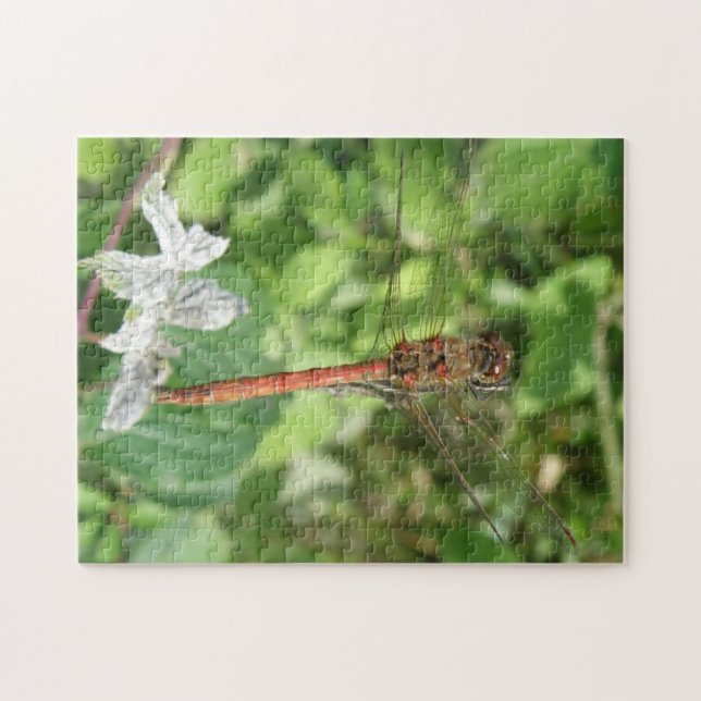 Darter Dragonfly Puzzle (Horizontal)