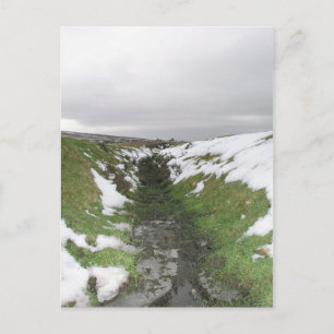 Dartmoor, Devon, Vereinigtes Königreich Postkarte