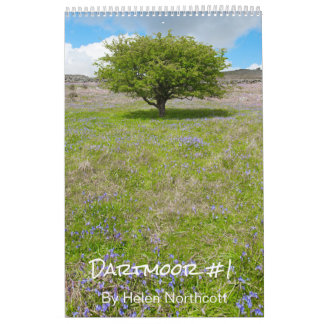 Dartmoor Kalender #1 (Mittel A3)