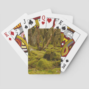 Dartmoor-Wald-Spielkarten Spielkarten