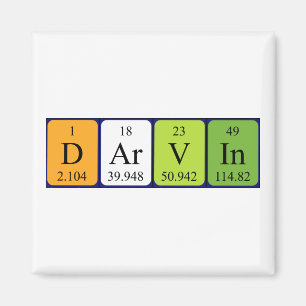 Darvin Periodenmagnet Magnet