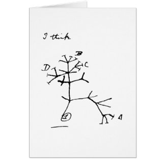 Darwin-Baum