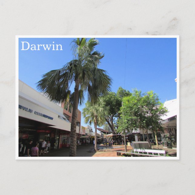 Darwin Center Postkarte (Vorderseite)