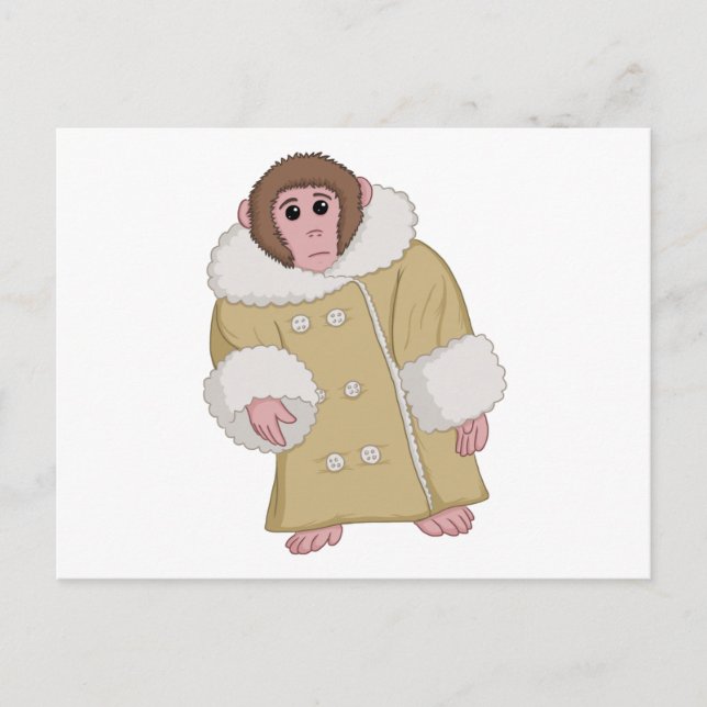 Darwin der Ikea-Affe Postkarte (Vorderseite)