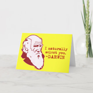 Darwin Feiertagskarte