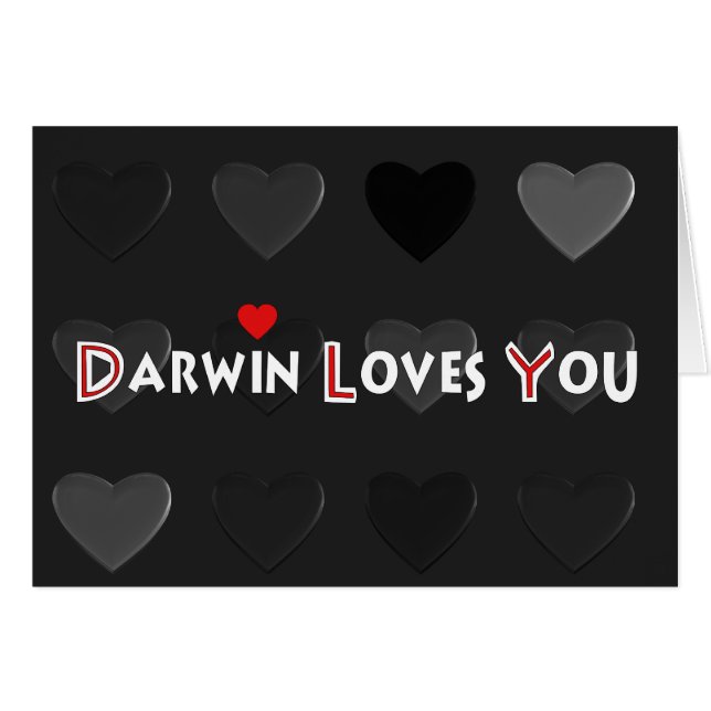 Darwin-Lieben Sie (Vorderseite (Horizontal))
