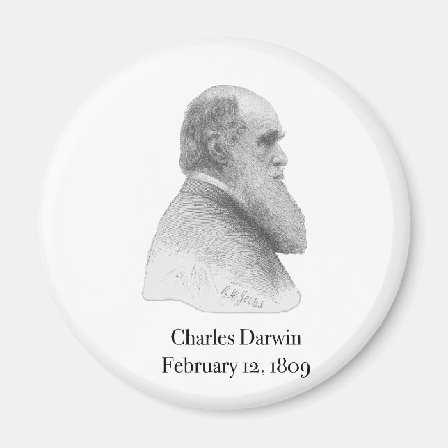 Darwin Magnet (Vorne)